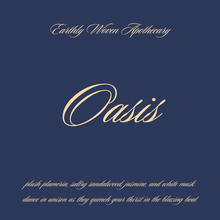 Load image into Gallery viewer, The Coastal Collection (Fragrant Oils)