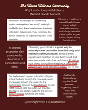 Load image into Gallery viewer, Leviticus Blood Cleansing Tincture (Pre-Order Ships by Dec 12th)