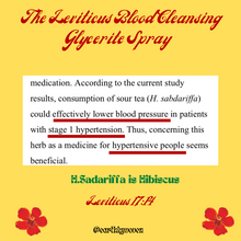 Load image into Gallery viewer, The Leviticus Blood Cleansing Herbal Drops