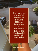 Load image into Gallery viewer, Hibiscus Lover Tea
